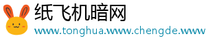 纸飞机暗网
